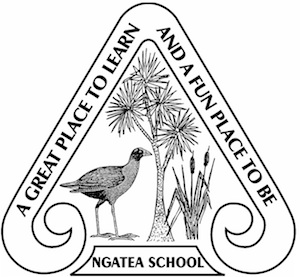 Ngatea Primary School